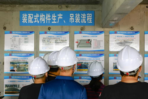 白云区拟申请放宽预售政策，促进装配式建筑与节能材料发展